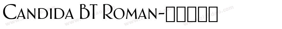 Candida BT Roman字体转换